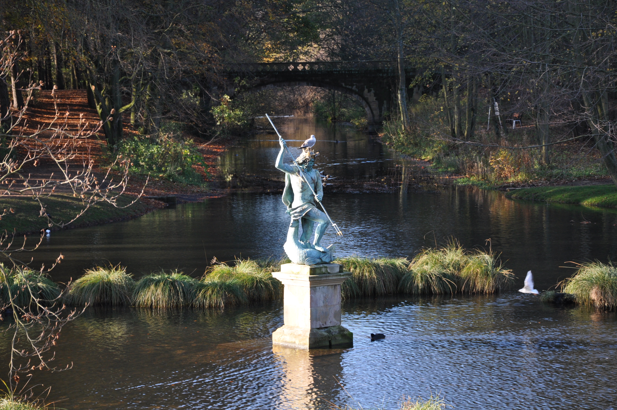 DSC_0001 (2)