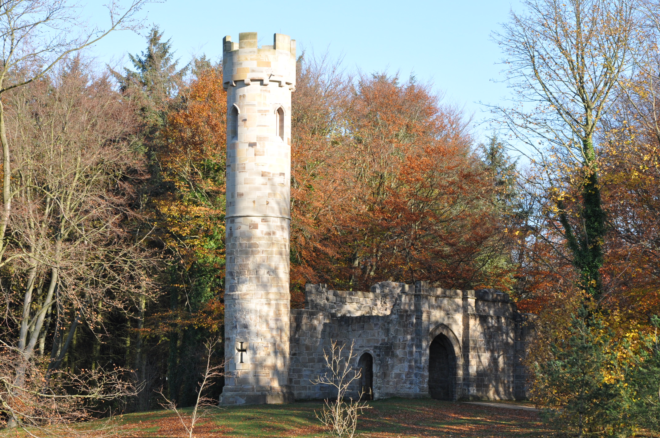 DSC_0002 (2)