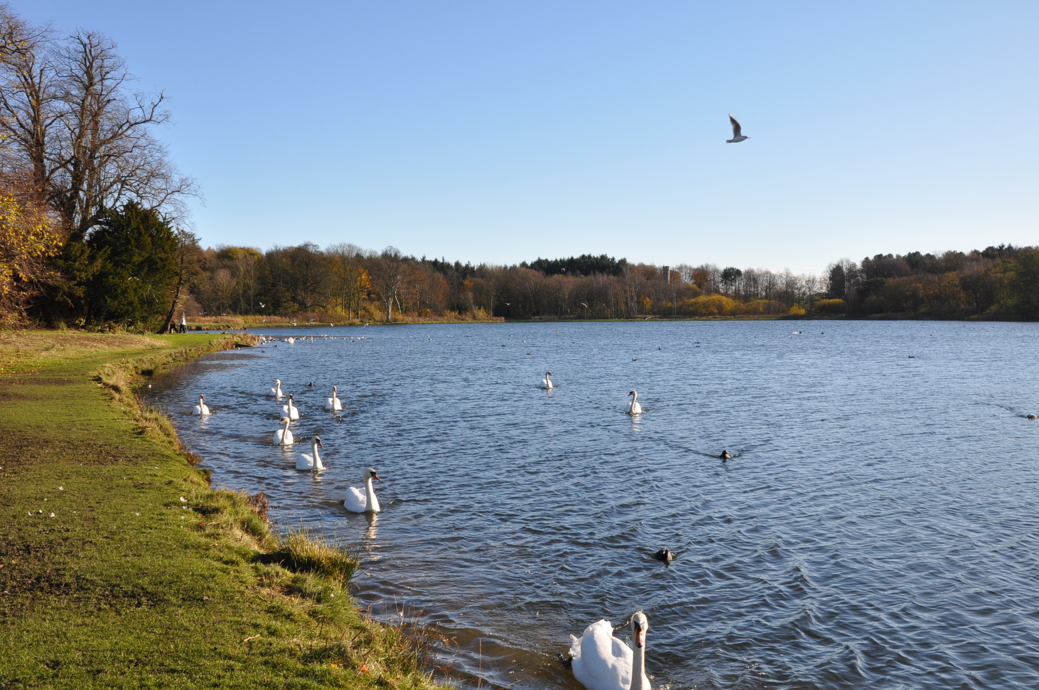 DSC_0007 (2)