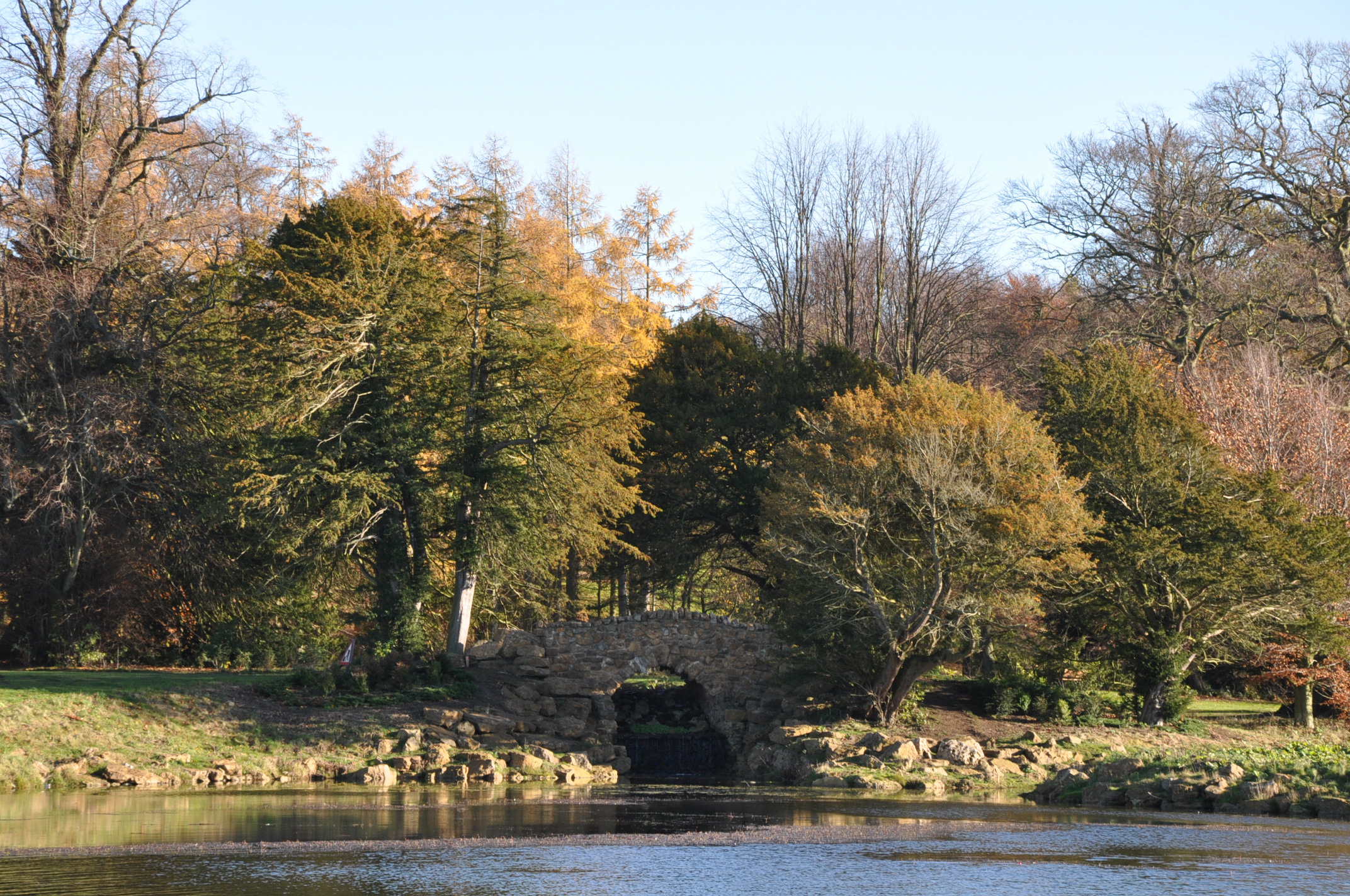 DSC_0012 (2)