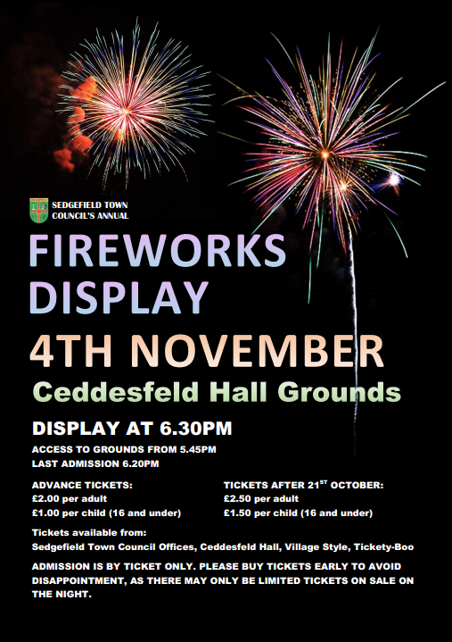 Fireworks Display 2016